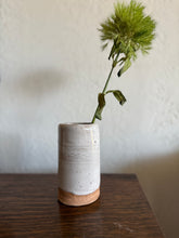 Load image into Gallery viewer, cottonwood