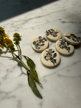 Load image into Gallery viewer, milkweed