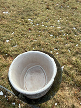 Load image into Gallery viewer, jolly