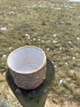 Load image into Gallery viewer, juniper