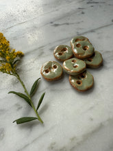 Load image into Gallery viewer, tetonia