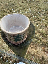 Load image into Gallery viewer, evergreen