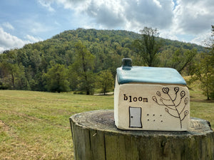 bloom