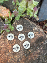 Load image into Gallery viewer, apidae