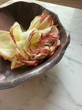 Load image into Gallery viewer, salinas